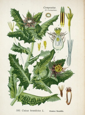 �������� ��������: ������ ��������, ����������� �����, ������ ��������������.